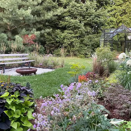 Oh Deer! * Jelenia Góra