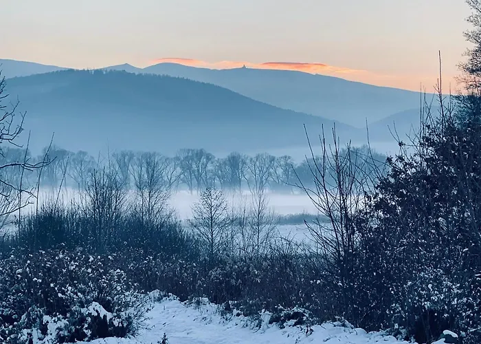 Oh Deer! Apartment *