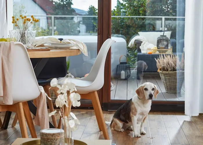 Apartment Oh Deer! Jelenia Gora